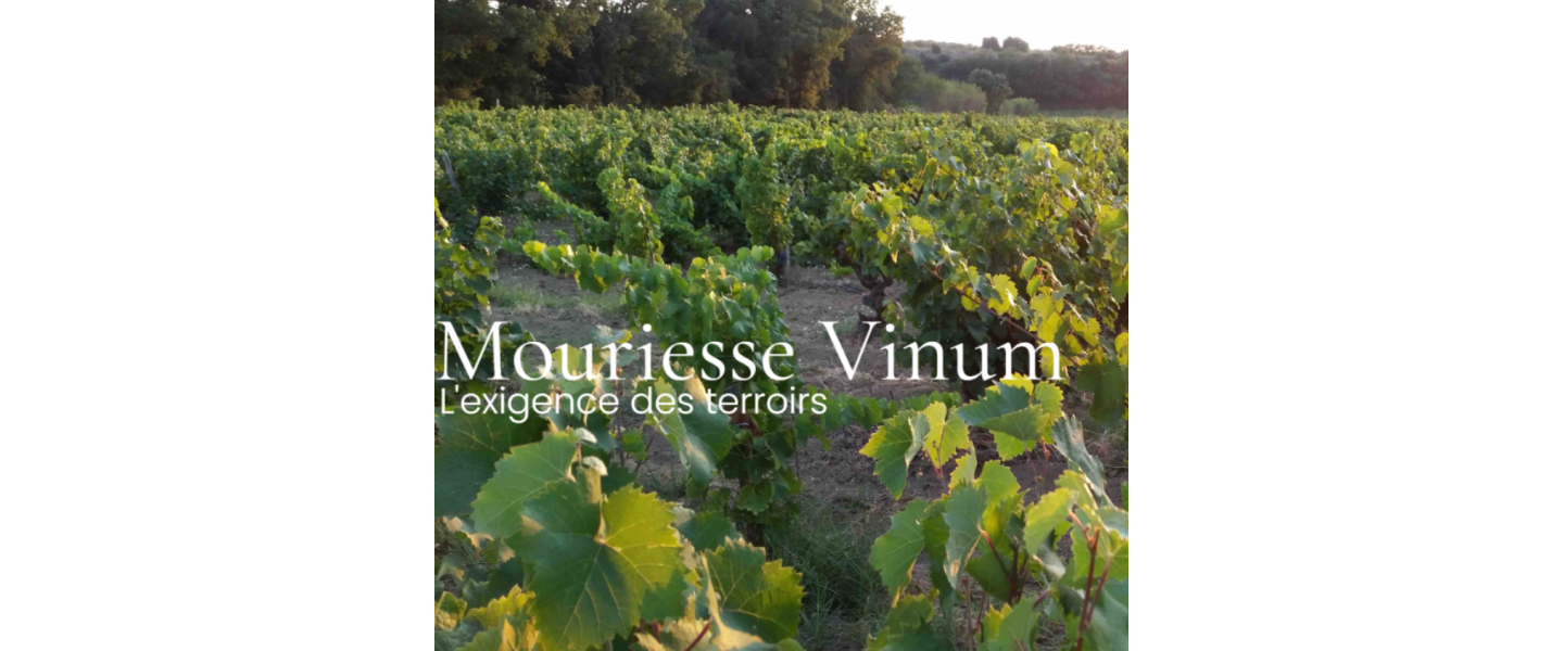 Mouriesse Vinum